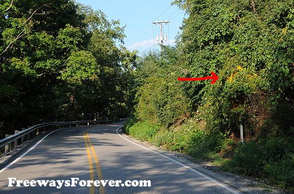 Road sign hidden behind leaves