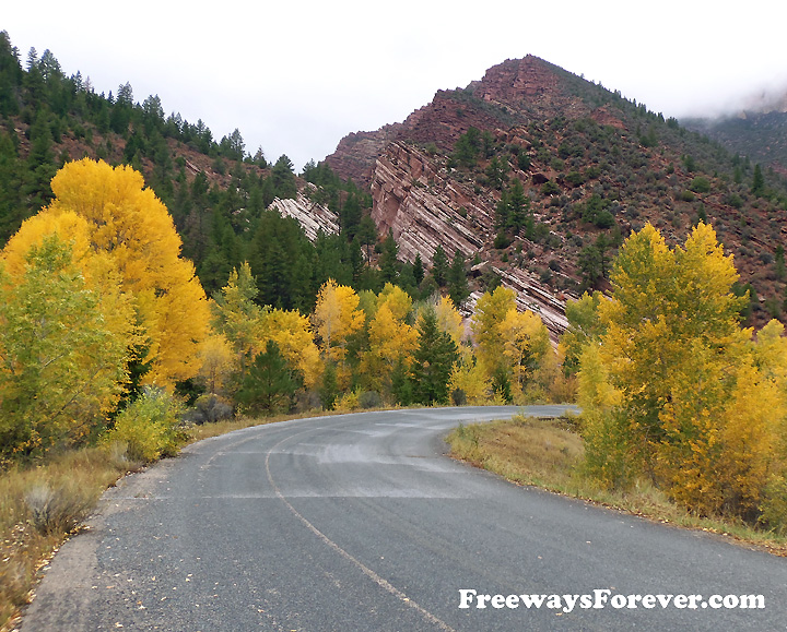 Aspen Trees lining Utah Route 44 highway in Ashley National Forest